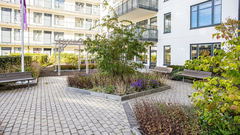 Stenlagd innergård med planteringar.