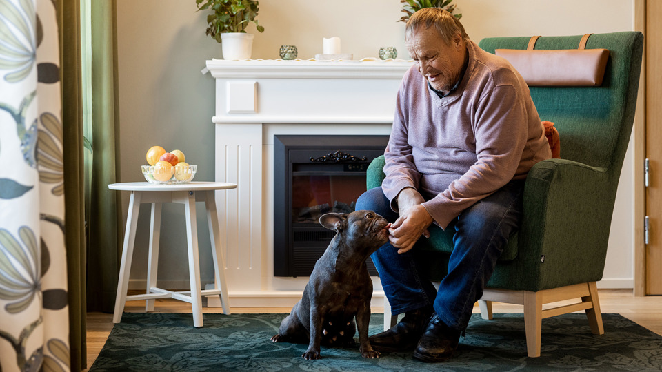En äldre man sitter i en fåtölj vid en öppen spis och klappar en hund. Ett litet bord med frukter och fönster med gardiner.