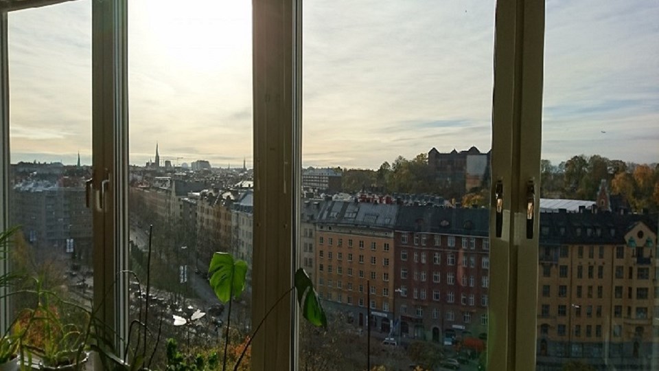 Utsikt över takåsarna från ett fönster på Kattrumpstullen