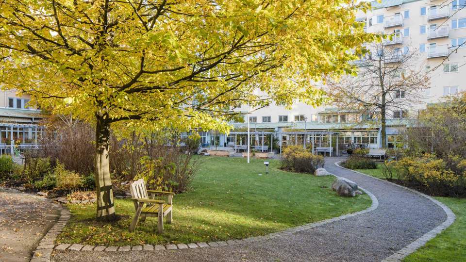Grönskande innergård med flera sittplatser.