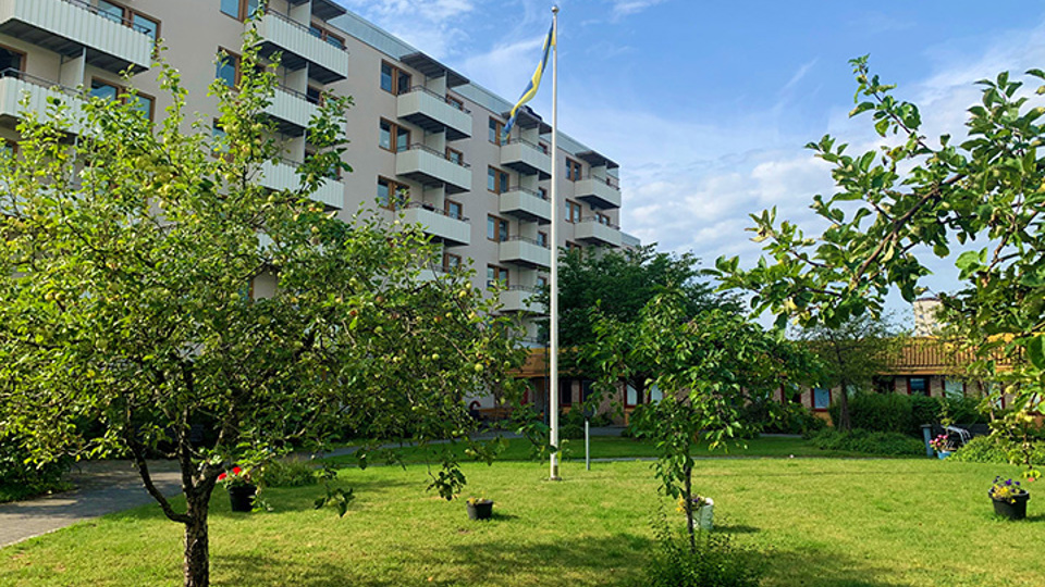 Grönskande innergård på Kista vård-och omsorgsboende.