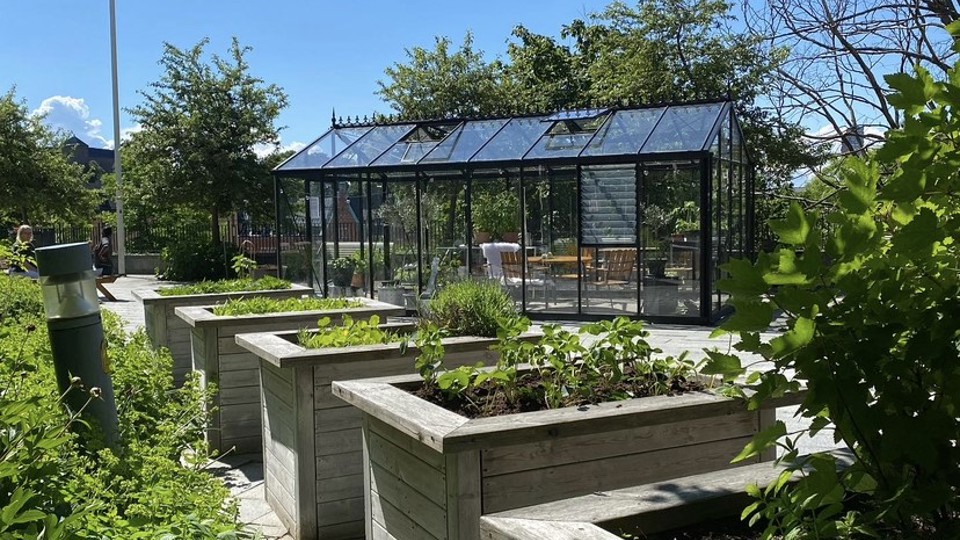 Trädgård med växthus.