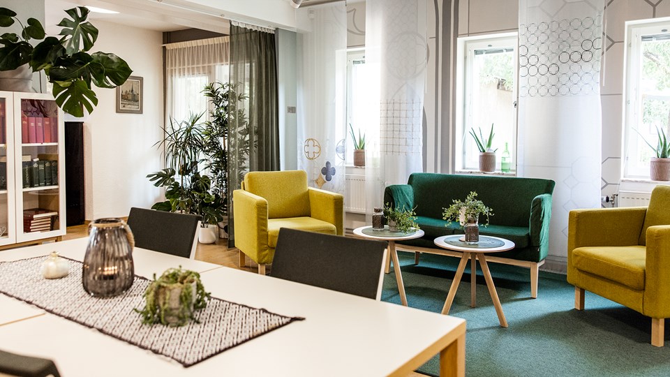 Rum med soffgrupp i grönt och gult, stora gröna växter, bokhylla och matbord. Stora fönster som släpper in solljus