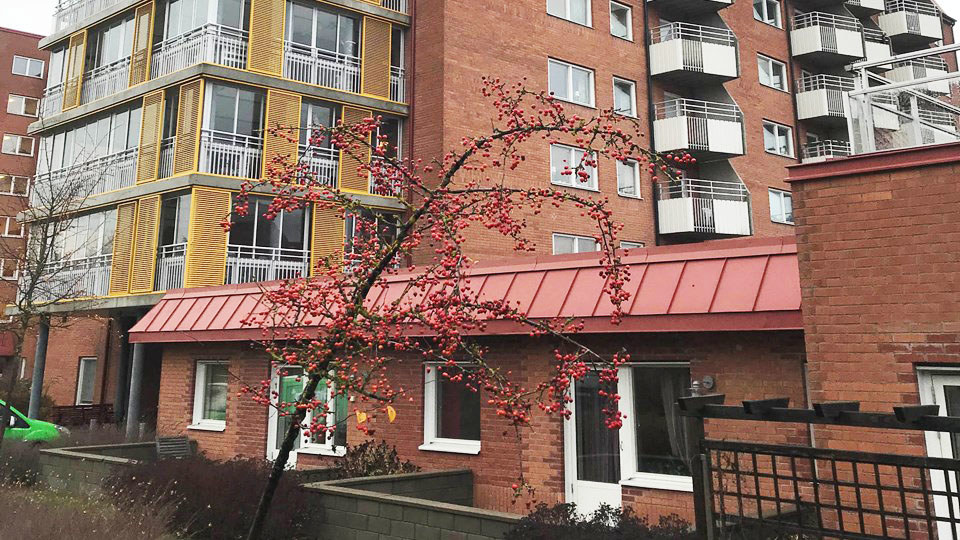 Tegelhus med balkonger och träd i förgrunden.