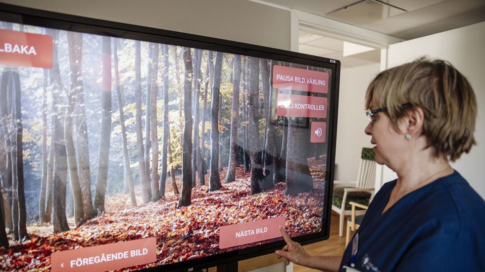 Personal som står framför en storbildsskärm.