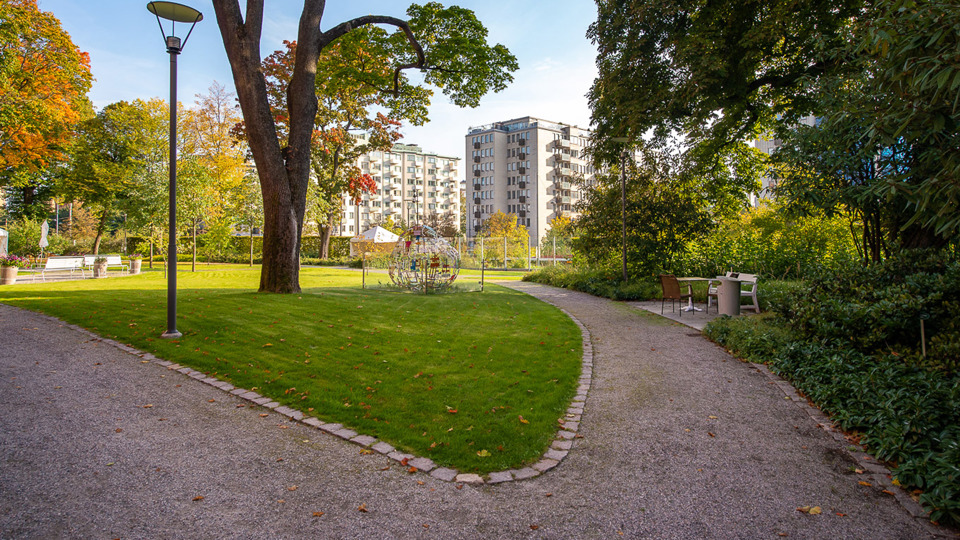 Park med promenadstråk.