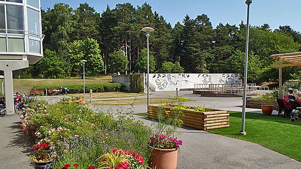 Sommarbild från Koppargårdens trädgård med blommande planteringar och uteplats..