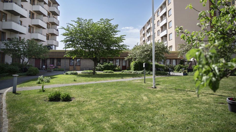 Höghus med en grönskande gård framför sig.