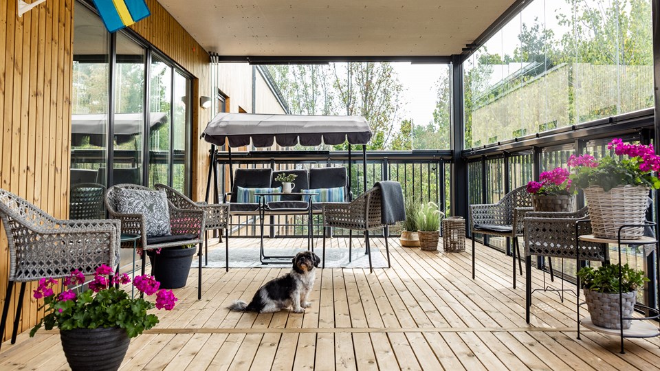 Inglasad terrass med trägolv, sittmöbler, hammock och blommor i krukor. På golvet sitter en liten hund.